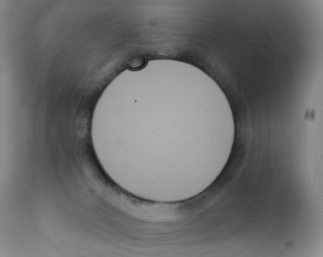 X0000111890032200908201332