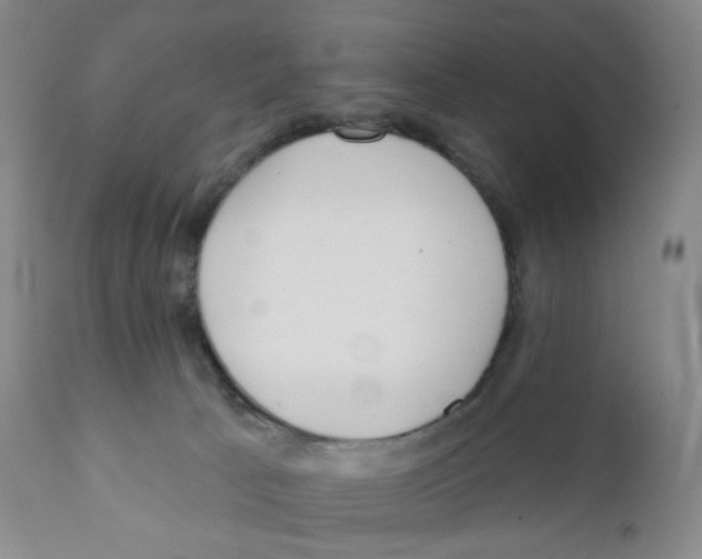 X0000111890033200908201332