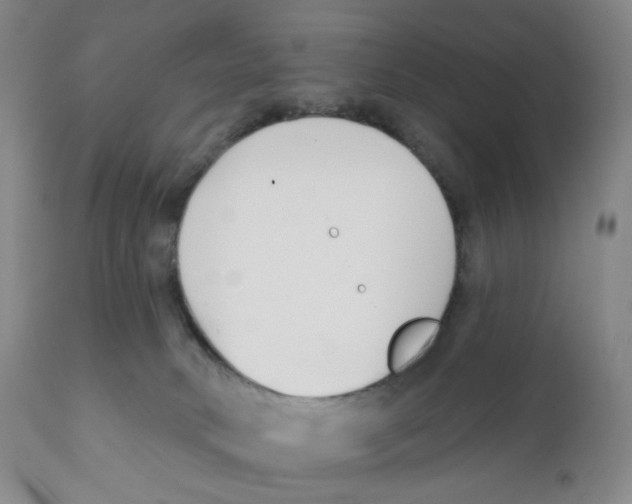 X0000111890034200908201332