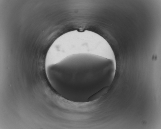 X0000111890035200908201332