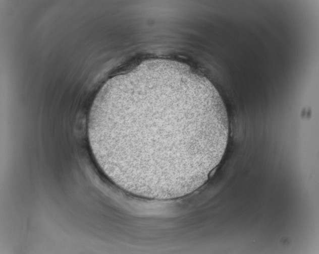 X0000111890036200908201332