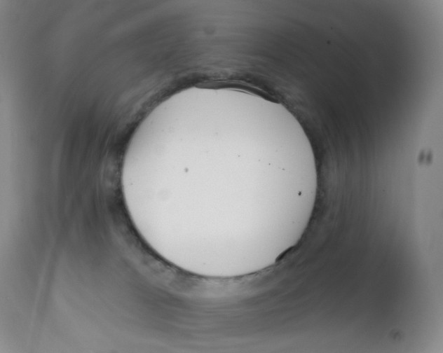 X0000111890037200908201332