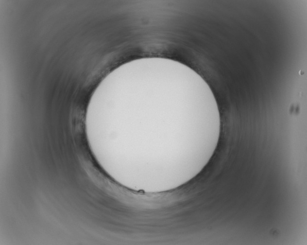 X0000111890038200908201332