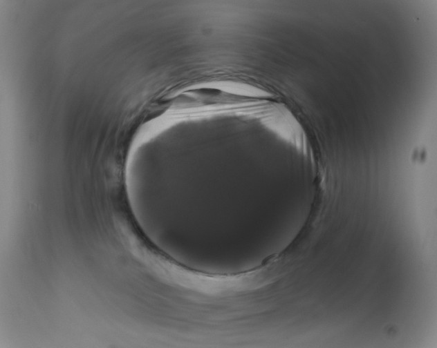 X0000111890039200908201332