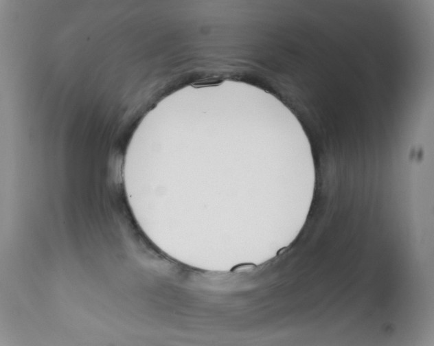 X0000111890041200908201332