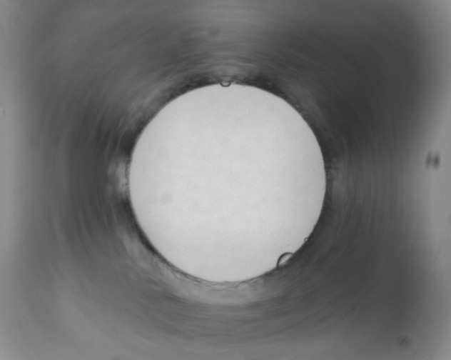 X0000111890042200908201332