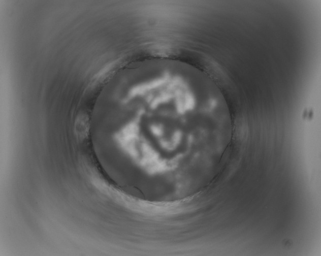 X0000111890043200908201332