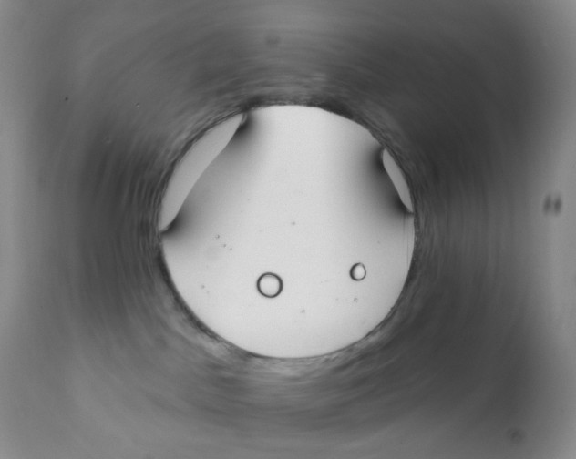 X0000111890045200908201332