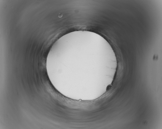 X0000111890048200908201332