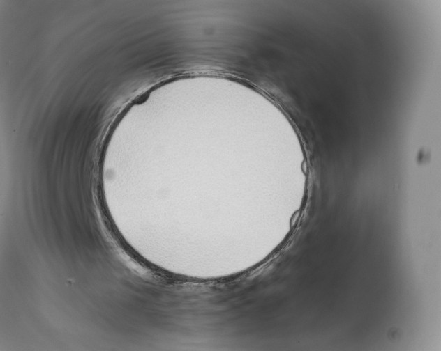 X0000111890049200908201331