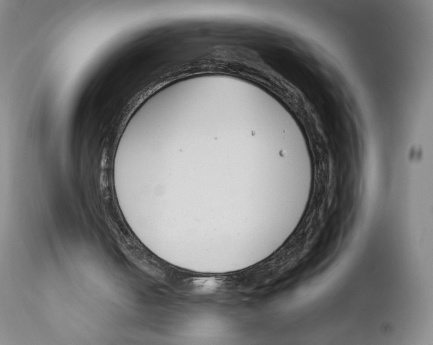 X0000111890050200908201331