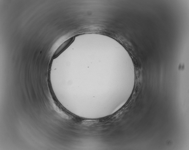 X0000111890051200908201331