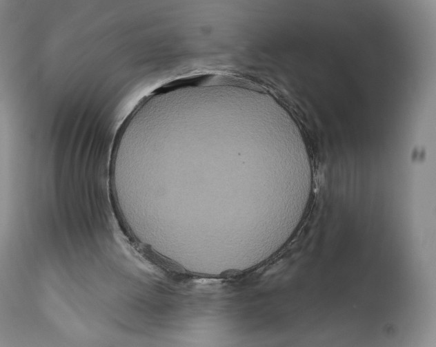 X0000111890052200908201331