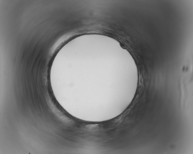 X0000111890054200908201331