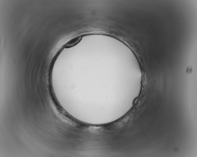 X0000111890055200908201331