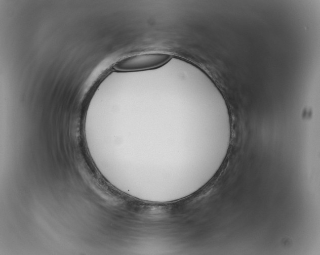 X0000111890056200908201331