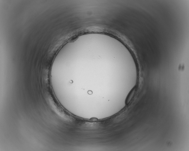 X0000111890057200908201331