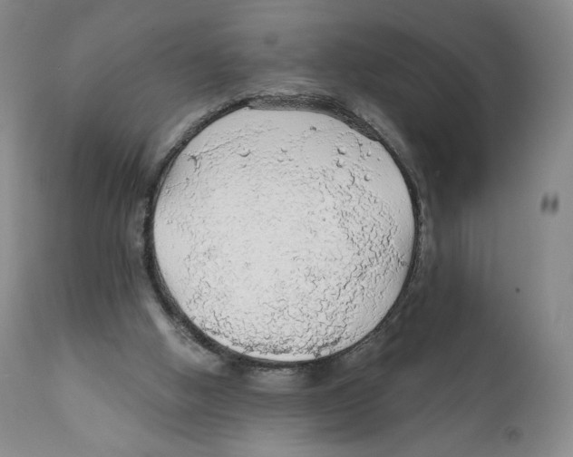 X0000111890058200908201331