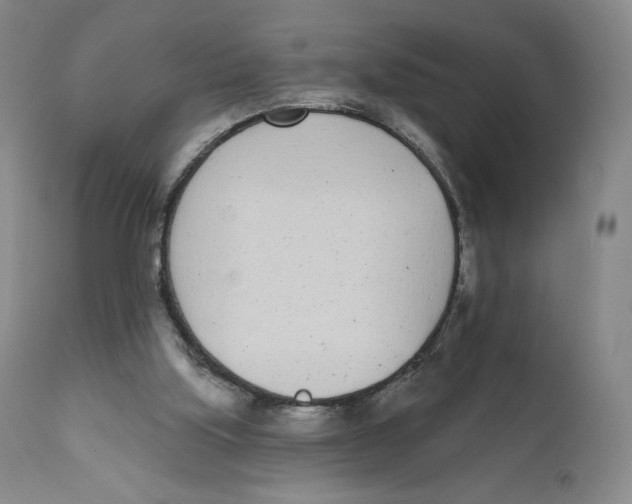 X0000111890059200908201331