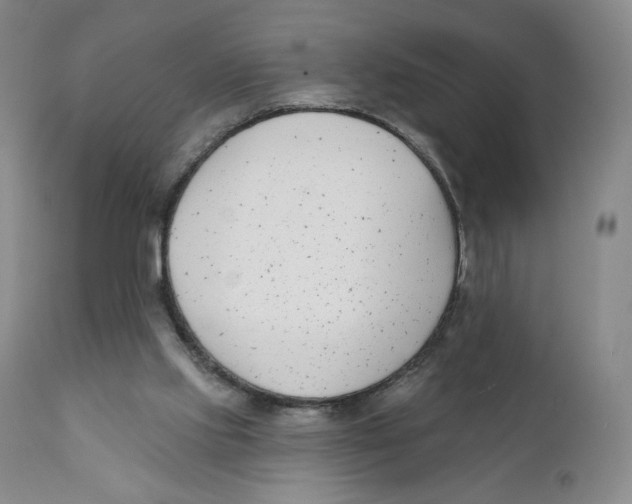 X0000111890061200908201331