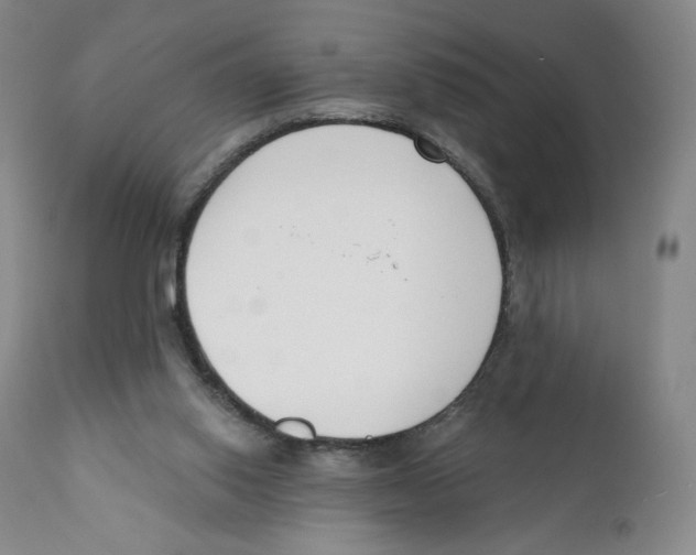 X0000111890062200908201331