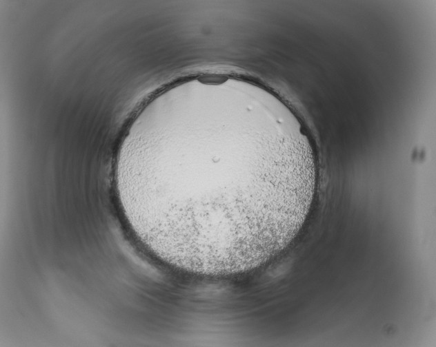 X0000111890063200908201331