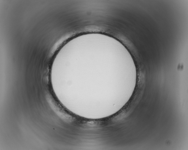 X0000111890064200908201331