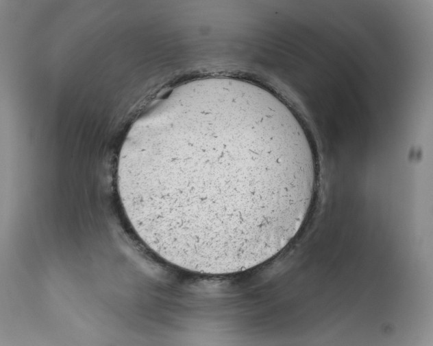 X0000111890065200908201331