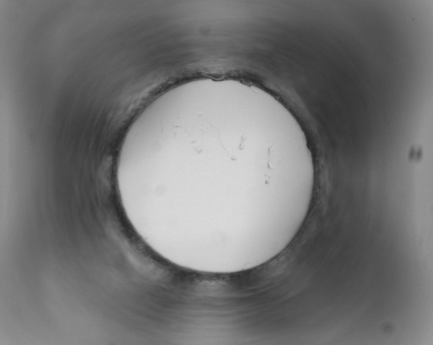 X0000111890066200908201331