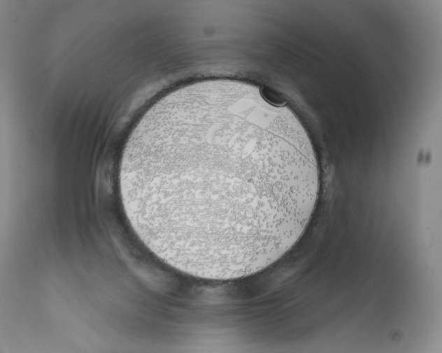 X0000111890068200908201331