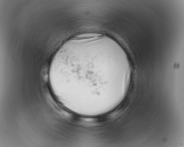 X0000111890069200908201331