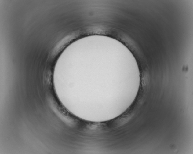 X0000111890072200908201331