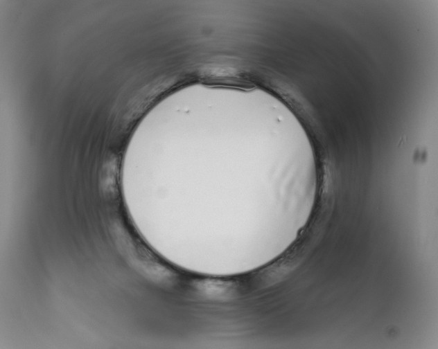 X0000111890073200908201331