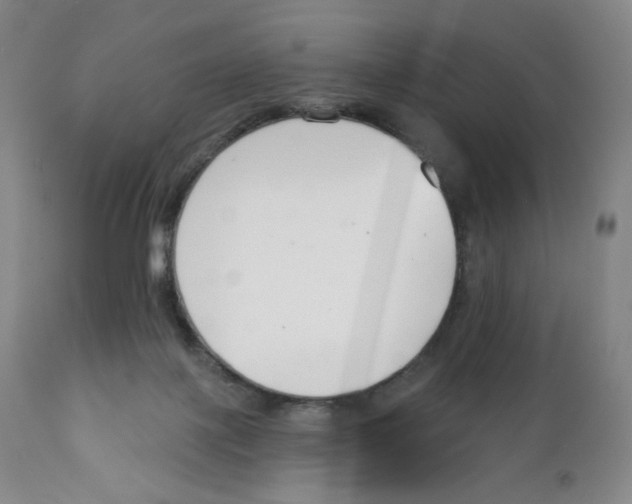 X0000111890075200908201332