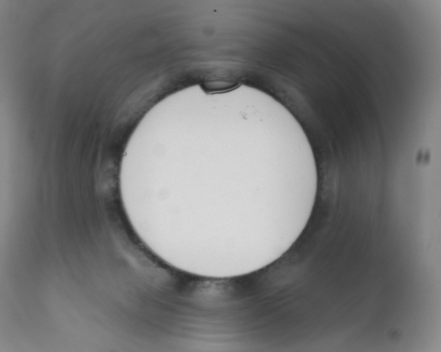 X0000111890077200908201332