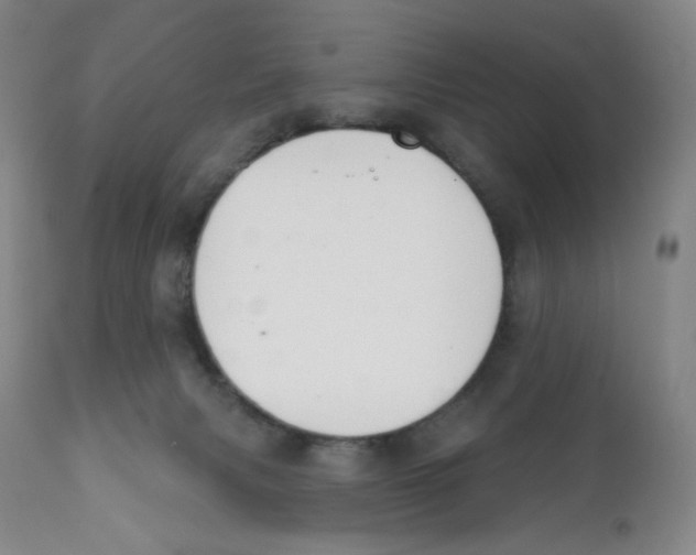 X0000111890079200908201332