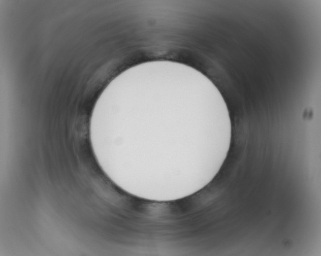 X0000111890085200908201332