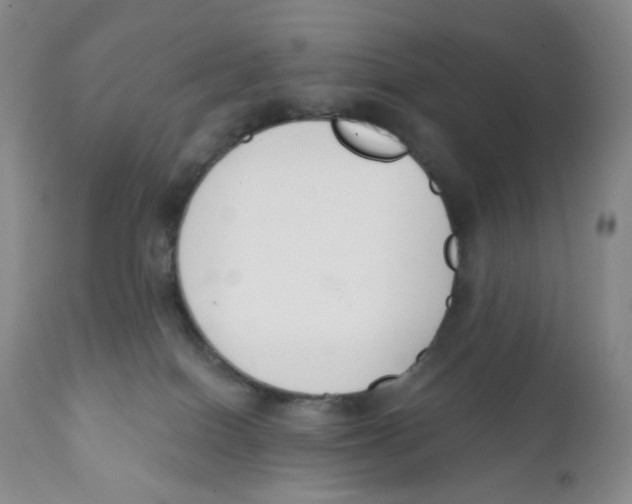 X0000111890086200908201332