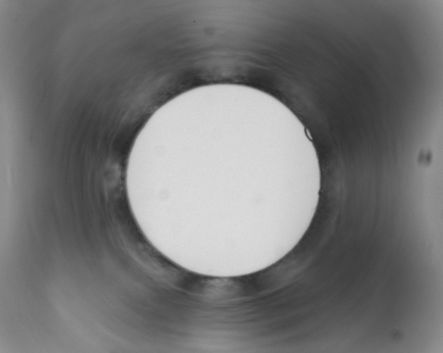 X0000111890087200908201332