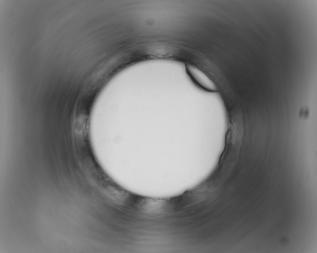 X0000111890093200908201332