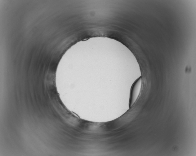 X0000111890096200908201332