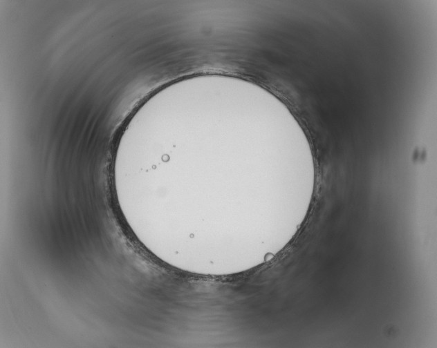 X0000111890098200908201331