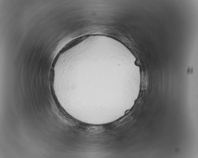 X0000111890099200908201331