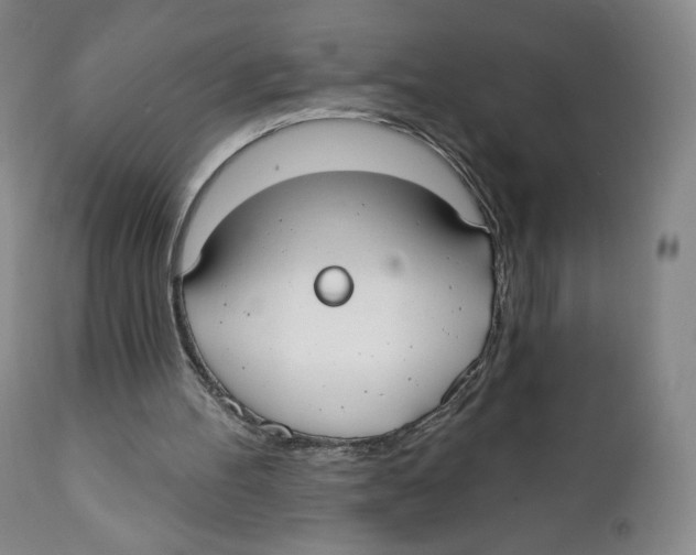 X0000111890100200908201331