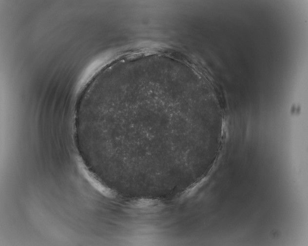 X0000111890101200908201331