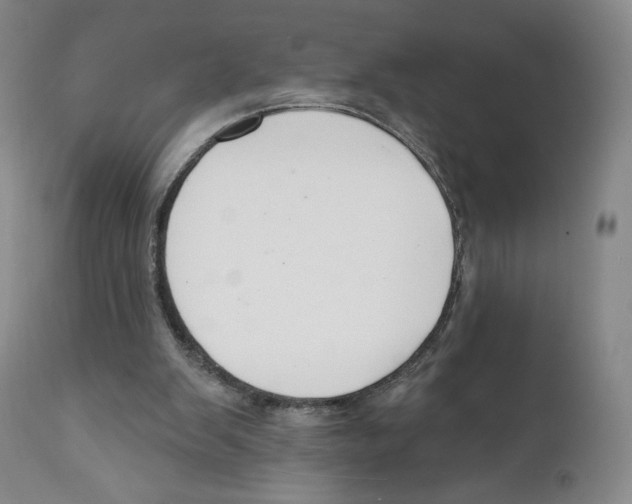 X0000111890103200908201331