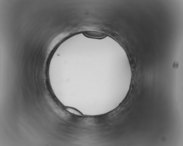 X0000111890104200908201331