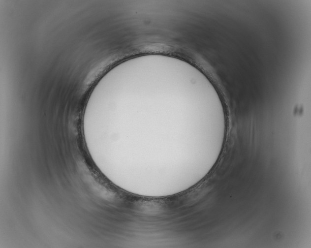 X0000111890106200908201331