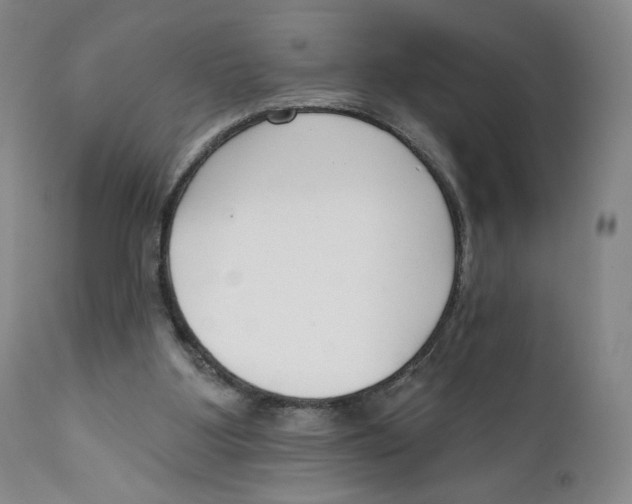 X0000111890107200908201331