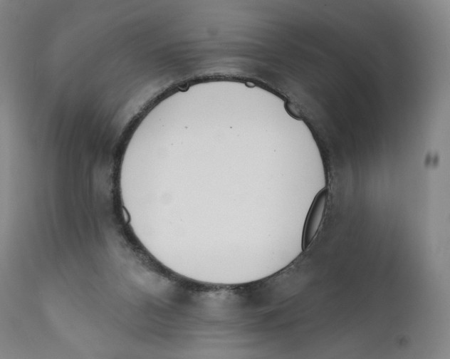 X0000111890112200908201331